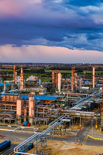 Organisation Structure